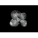 Bague Argent 999 Fleur d'Hortensia avec anneau large filigrane